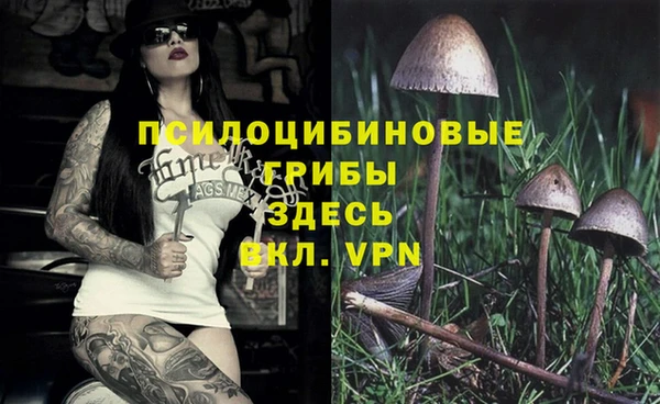 эйфоретик Дмитровск