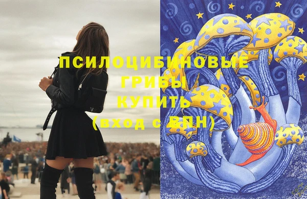 прущий лед Дмитриев