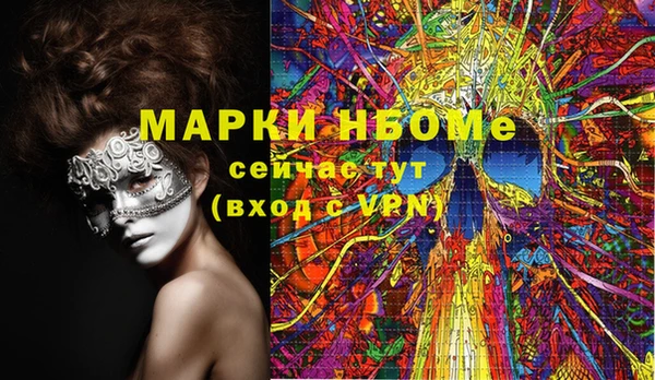 прущий лед Дмитриев
